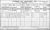 1911 Cork Census
