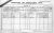 1901 Irish Census