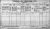 1911 Irish Census